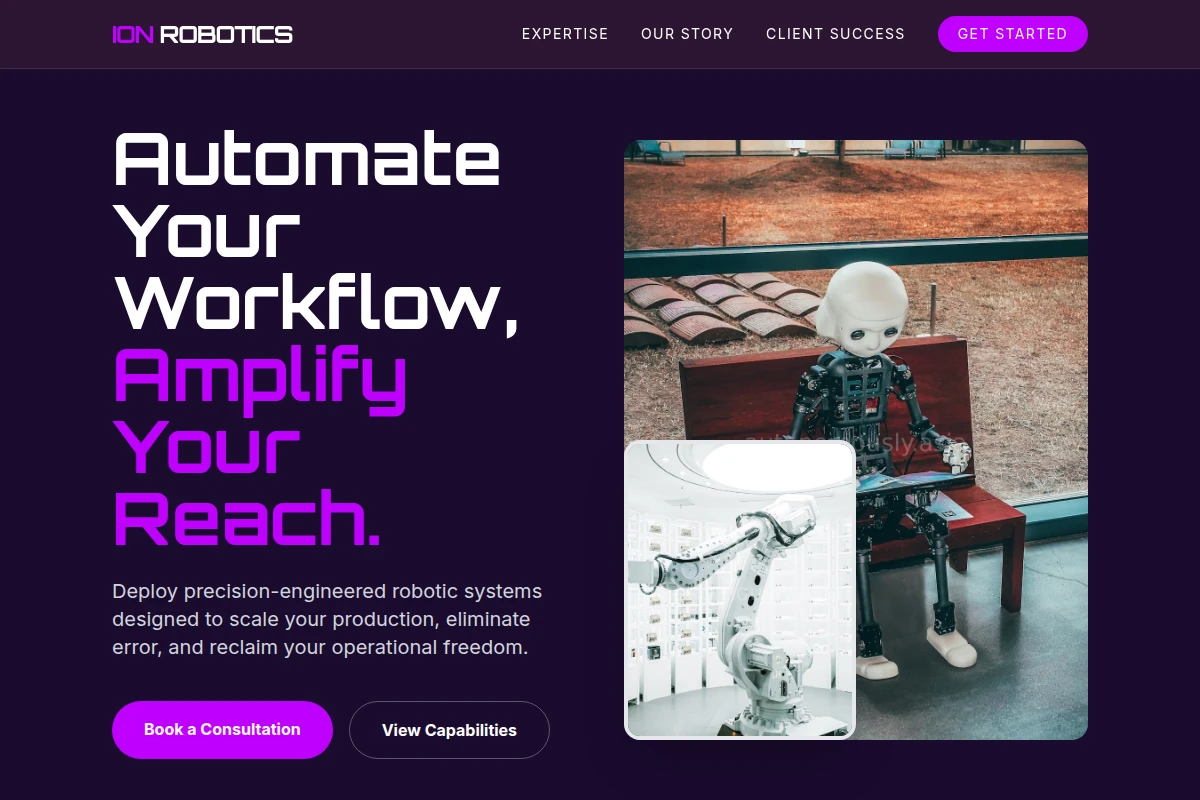 Ion Robotics